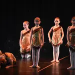 07 Ballet Standard 1 & Grade 1 0060