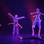 20 Acro Dance Level 2 Tuesday 0715