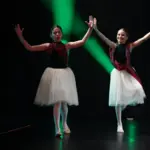 Senior Concert 0115