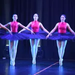 Senior Concert 0397