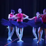 Senior Concert 0401
